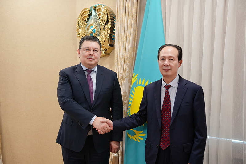 丁焰章與哈薩克斯坦副總理卡納特·博祖姆巴耶夫舉行會(huì)談.jpg